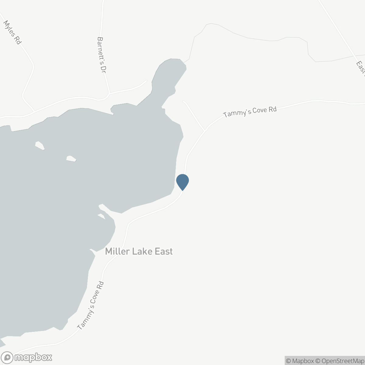 120 TAMMY'S COVE ROAD, Lion's Head, Ontario N0H 1W0